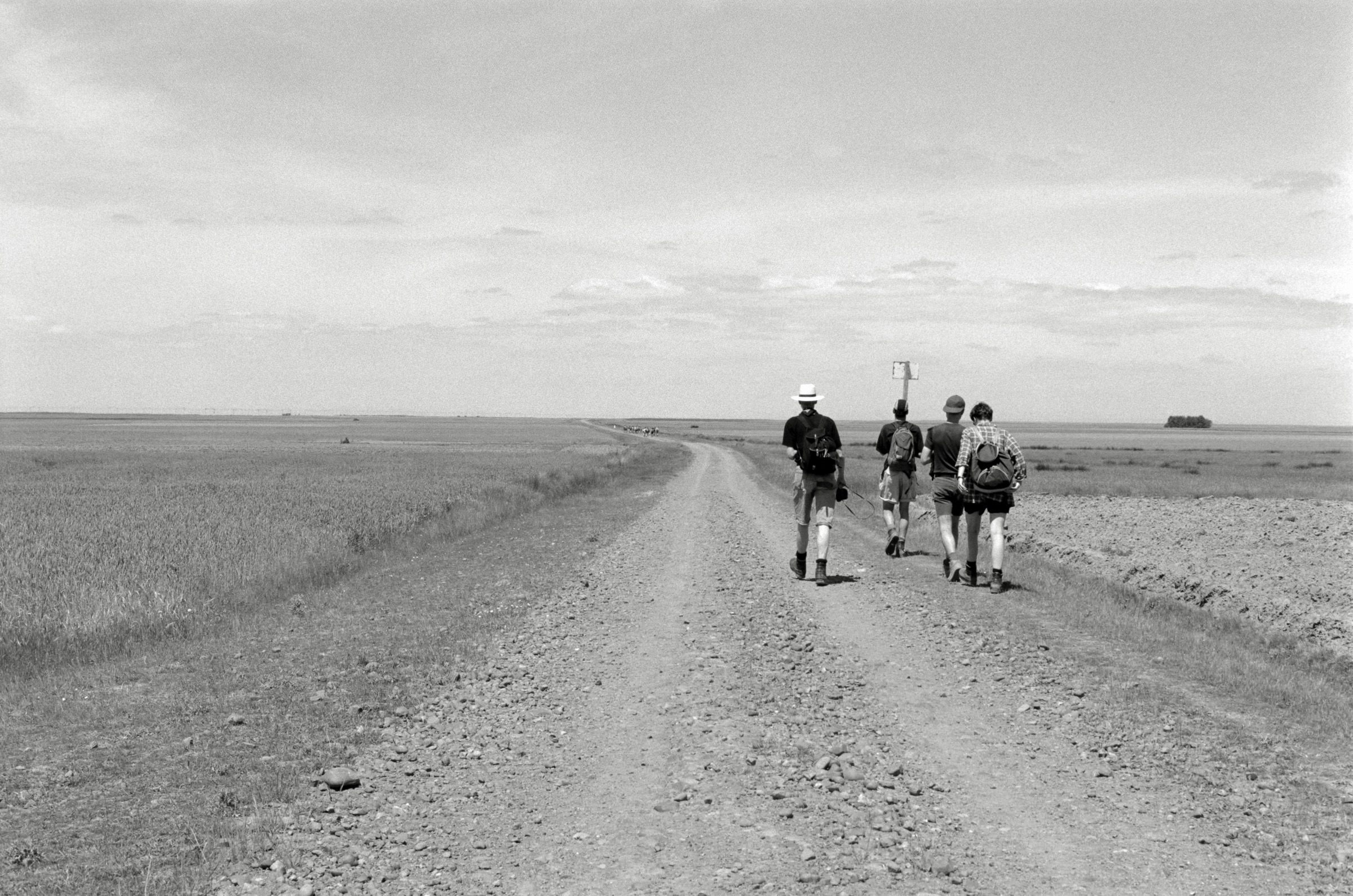 AHP F1995 05 009 sc240826 img29 NLP